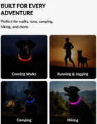 Pet Dog LED Light Collar Luminous Anti-Lost Dog Collar USB Rechargeable Dog Necklace Collar