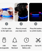 Pet Dog LED Light Collar Luminous Anti-Lost Dog Collar USB Rechargeable Dog Necklace Collar